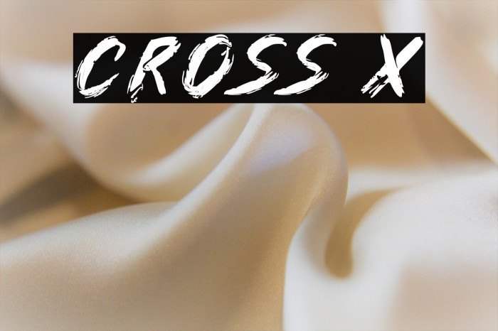 Cross X Example 3