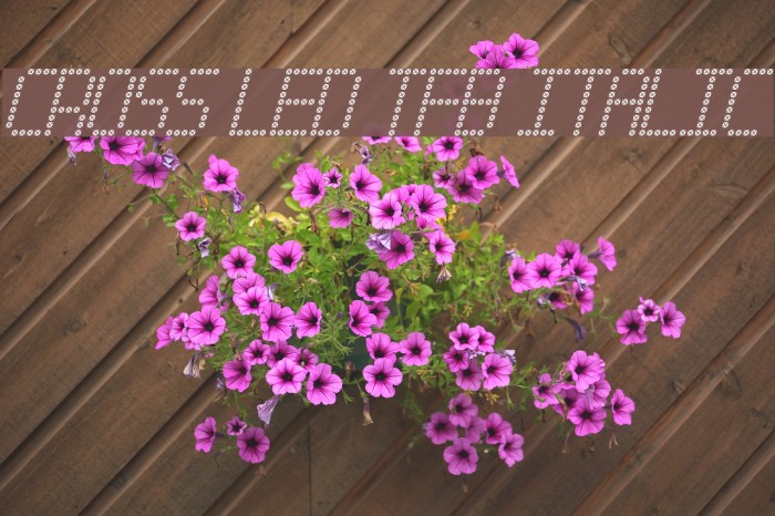 Cross led tfb Italic Font examples