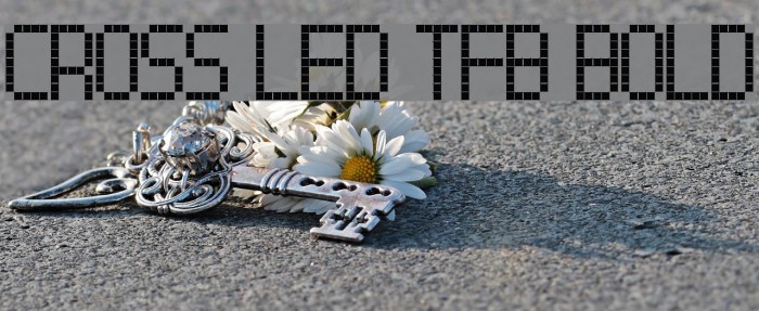 Cross led tfb bold Font examples