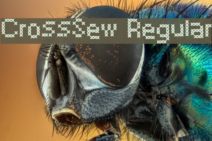 CrossSew Regular Example 3