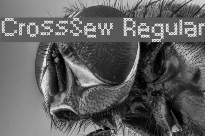 CrossSew Regular Font examples