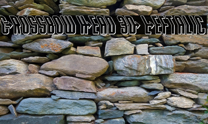 Crossbow Head 3D Leftalic Example 1