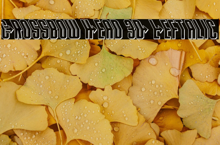 Crossbow Head 3D Leftalic Example 3