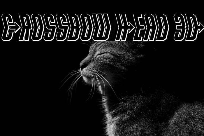 Crossbow Head 3D Example 2