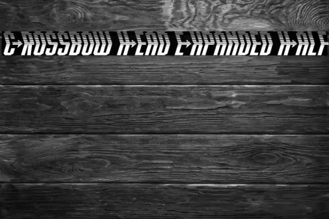 Crossbow Head Expanded Half Font examples