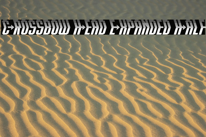 Crossbow Head Expanded Half Example 2