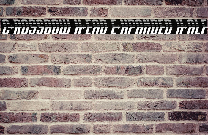 Crossbow Head Expanded Half Example 3