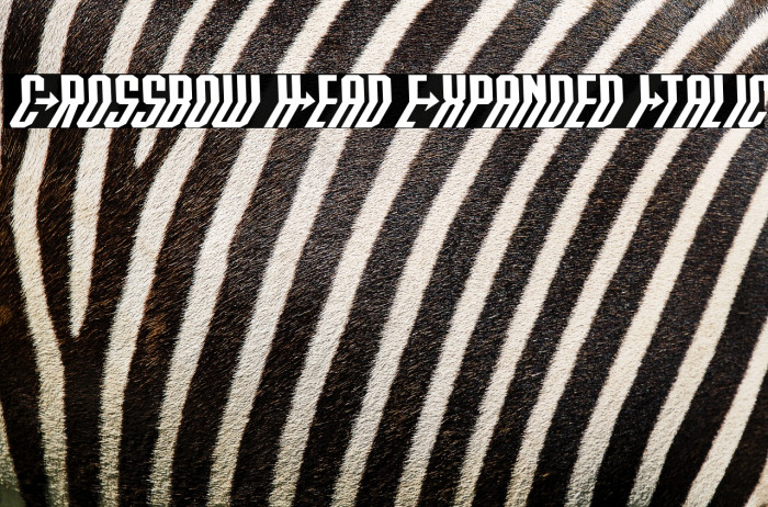 Crossbow Head Expanded Italic Example 3