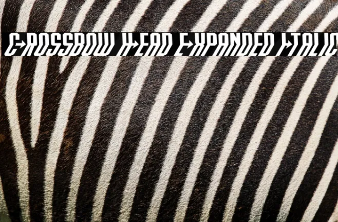 Crossbow Head Expanded Italic Example 3
