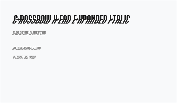 Crossbow Head Expanded Italic Business Card