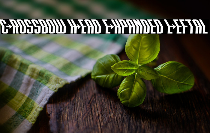 Crossbow Head Expanded Leftal Example 1