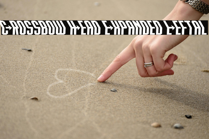 Crossbow Head Expanded Leftal Example 3