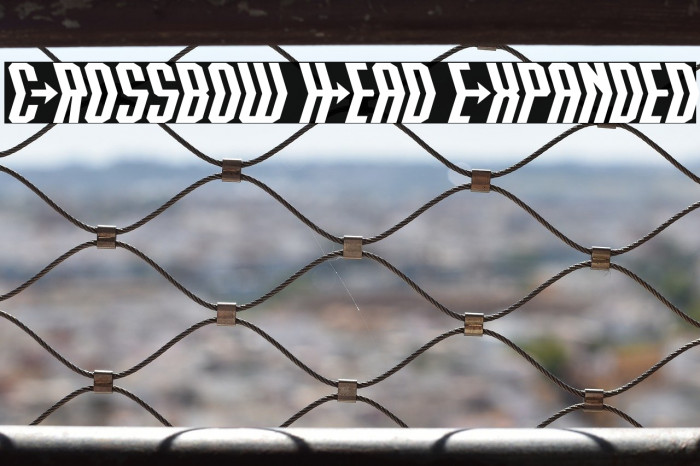 Crossbow Head Expanded Example 1