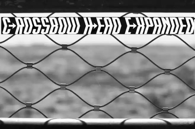 Crossbow Head Expanded Font examples