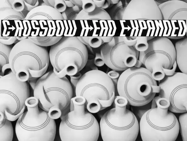 Crossbow Head Expanded Font examples