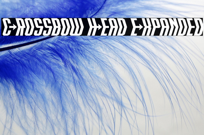 Crossbow Head Expanded Example 3