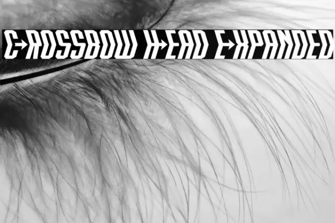 Crossbow Head Expanded Font examples