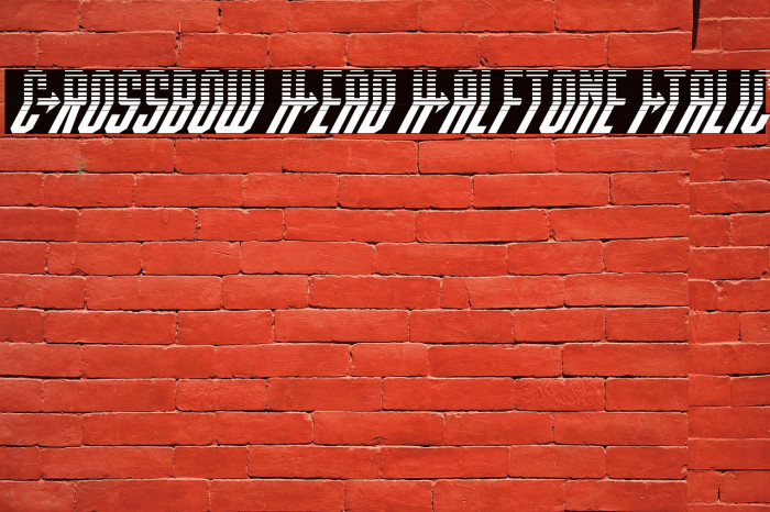 Crossbow Head Halftone Italic Example 1