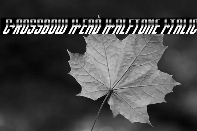 Crossbow Head Halftone Italic Font examples
