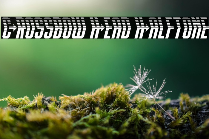 Crossbow Head Halftone Example 1