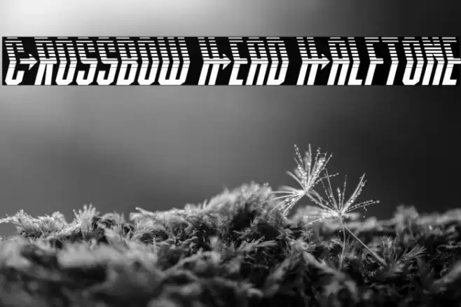Crossbow Head Halftone Font examples
