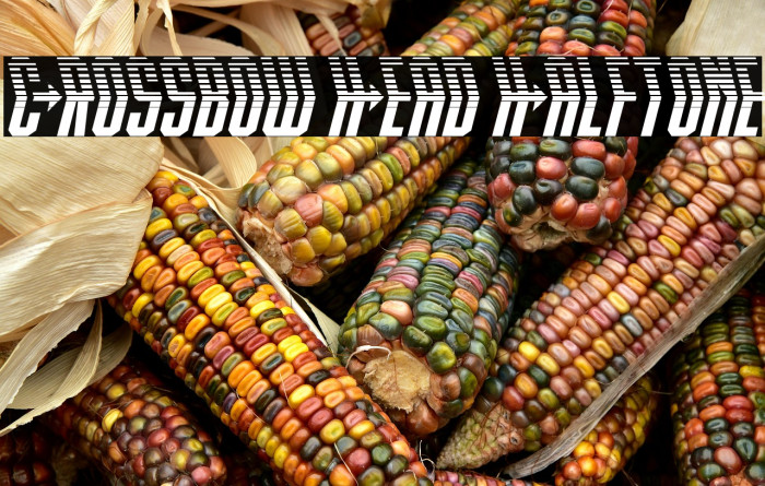 Crossbow Head Halftone Example 2