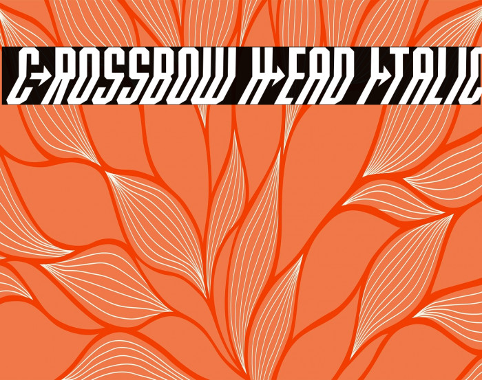 Crossbow Head Italic Example 1