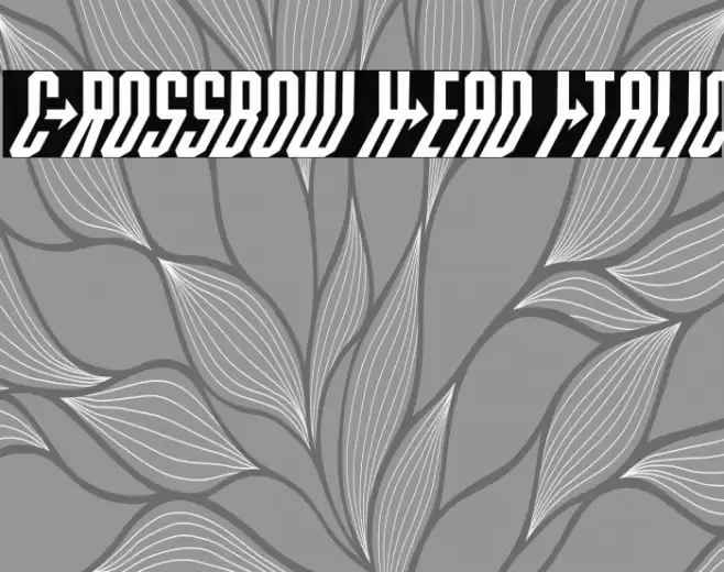 Crossbow Head Italic Font examples