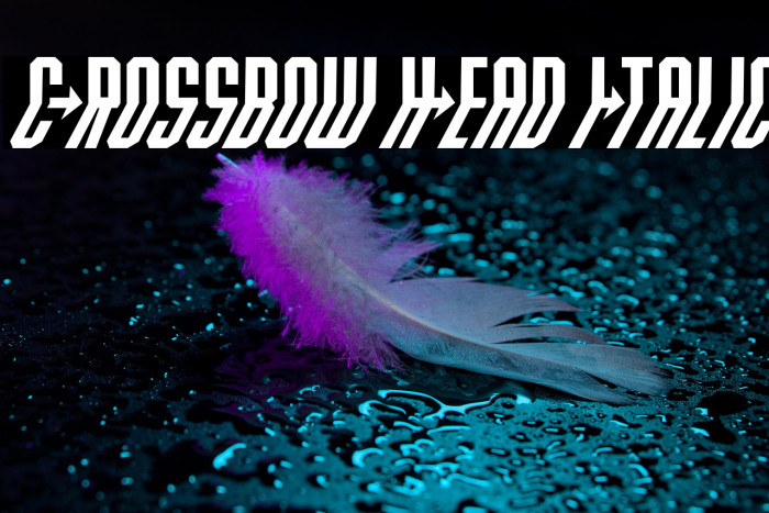 Crossbow Head Italic Example 2