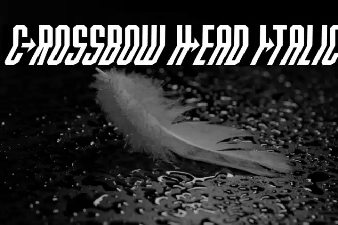 Crossbow Head Italic Font examples