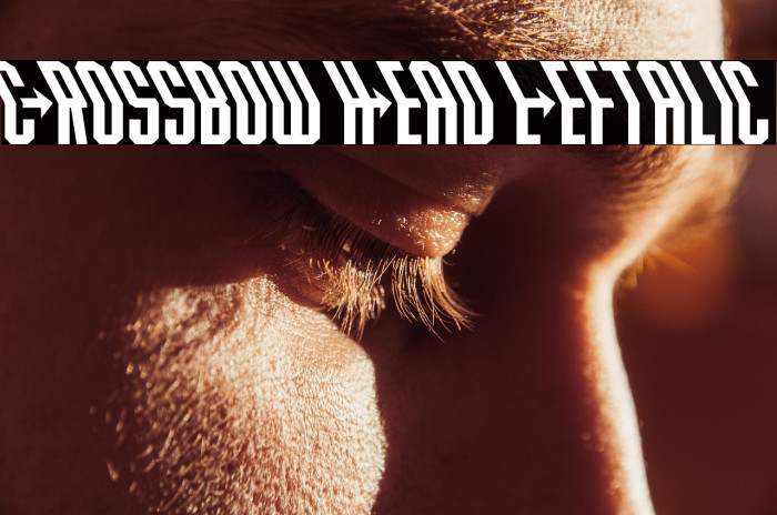 Crossbow Head Leftalic Example 1