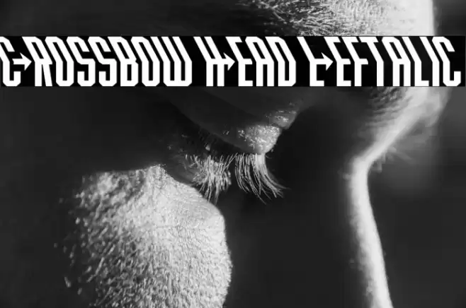 Crossbow Head Leftalic Font examples