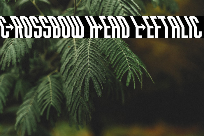 Crossbow Head Leftalic Example 2