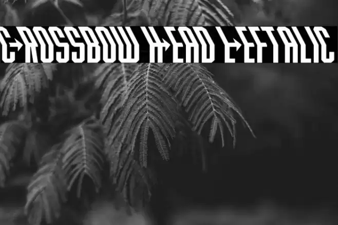 Crossbow Head Leftalic Font examples