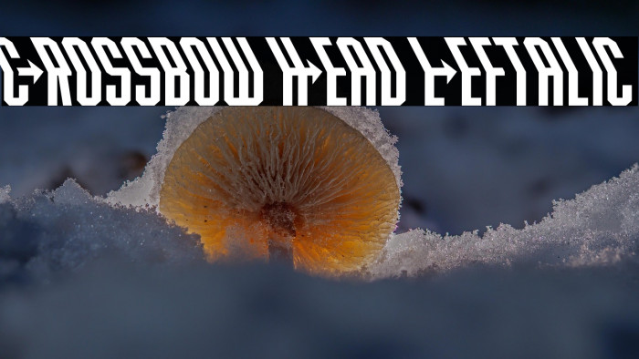 Crossbow Head Leftalic Example 3