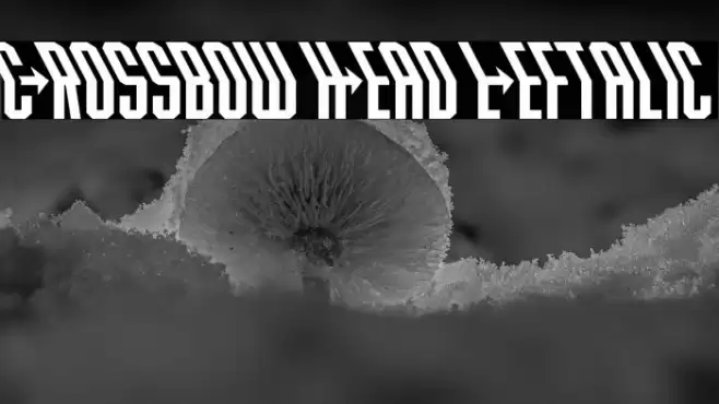 Crossbow Head Leftalic Font examples