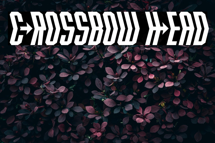 Crossbow Head Example 2