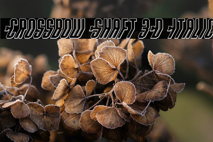 Crossbow Shaft 3D Italic Example 3