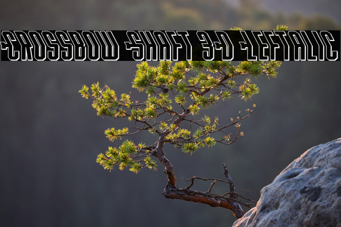 Crossbow Shaft 3D Leftalic Example 1