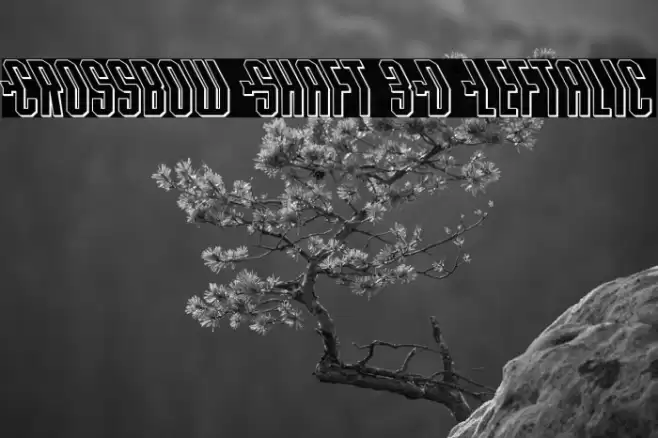 Crossbow Shaft 3D Leftalic Font examples