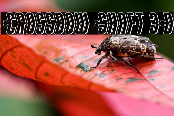 Crossbow Shaft 3D Example 1