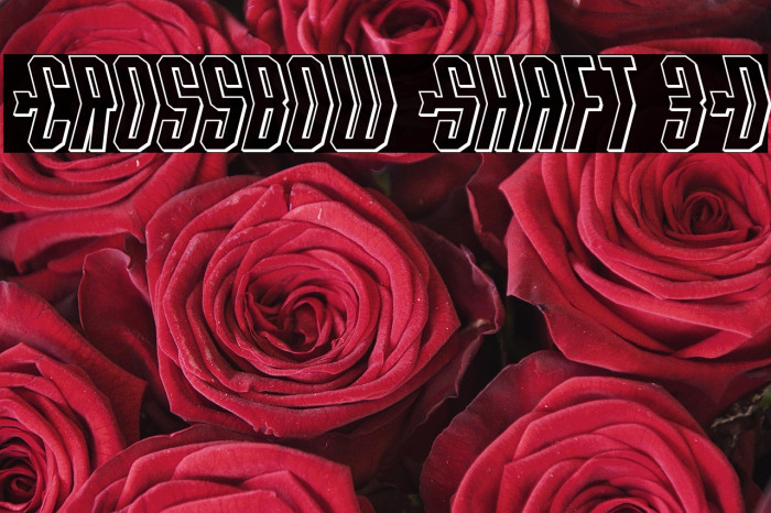 Crossbow Shaft 3D Example 2