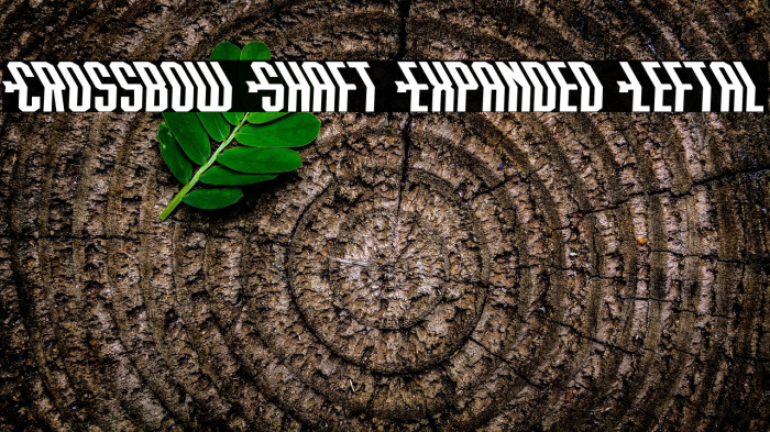 Crossbow Shaft Expanded Leftal Example 1