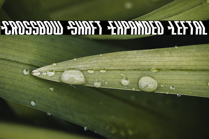 Crossbow Shaft Expanded Leftal Example 2