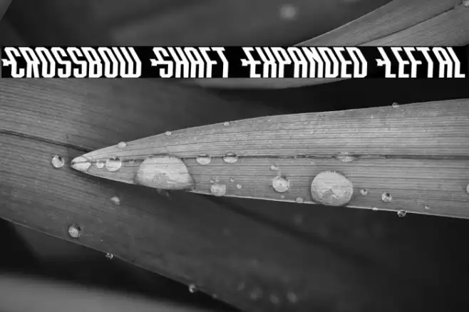 Crossbow Shaft Expanded Leftal Font examples