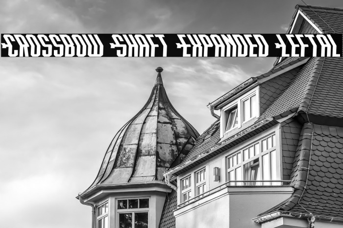 Crossbow Shaft Expanded Leftal Example 3