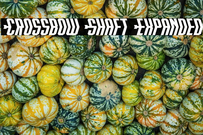 Crossbow Shaft Expanded Example 2