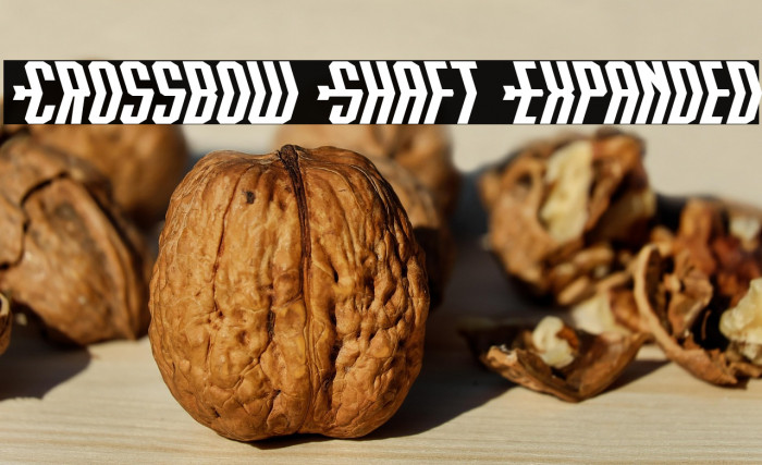 Crossbow Shaft Expanded Example 3