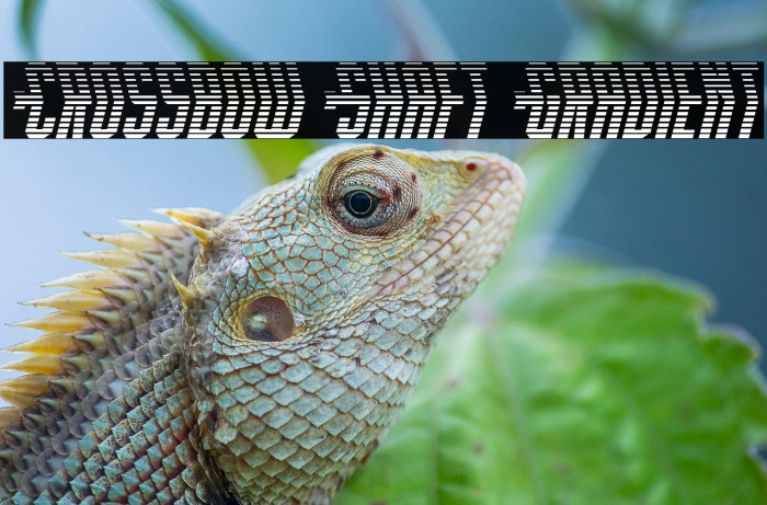 Crossbow Shaft Gradient Example 2