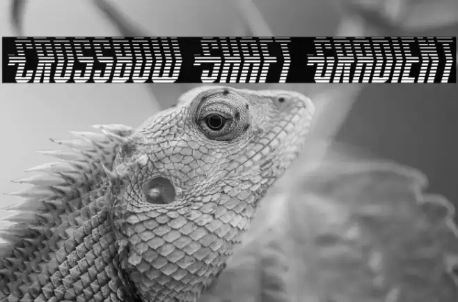 Crossbow Shaft Gradient Font examples